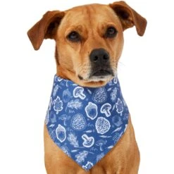 Frisco Fall Vibes Dog & Cat Bandana 12 Frisco Fall Vibes Dog & Cat Bandana -Blue Buffalo Shop 267913 PT2. AC SS1800 V1637722647