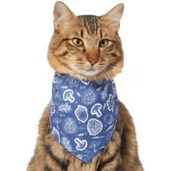 Frisco Fall Vibes Dog & Cat Bandana 13 Frisco Fall Vibes Dog & Cat Bandana -Blue Buffalo Shop 267913 PT3. AC SS1800 V1637729806