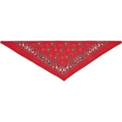 Frisco Red Paisley Dog & Cat Bandana 14 Frisco Red Paisley Dog & Cat Bandana -Blue Buffalo Shop 267919 PT4. AC SS1800 V1637674037