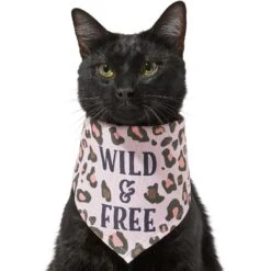 Frisco Pink Leopard Dog & Cat Bandana 13 Frisco Pink Leopard Dog & Cat Bandana -Blue Buffalo Shop 267922 PT3. AC SS1800 V1637687868