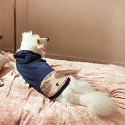 Frisco Sloth Pocket Dog & Cat Lightweight Hoodie -Blue Buffalo Shop 268018 PT6. AC SS1800 V1637730205