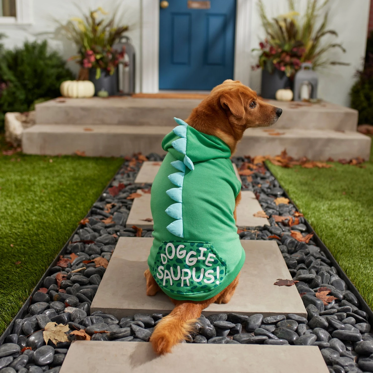 Frisco Doggiesaurus Dog & Cat Hoodie, Green 10 Frisco Doggiesaurus Dog & Cat Hoodie, Green - Image 8