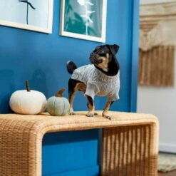 Frisco Boho Bobble-Knit Dog & Cat Sweater -Blue Buffalo Shop 268081 PT8. AC SS1800 V1629759112