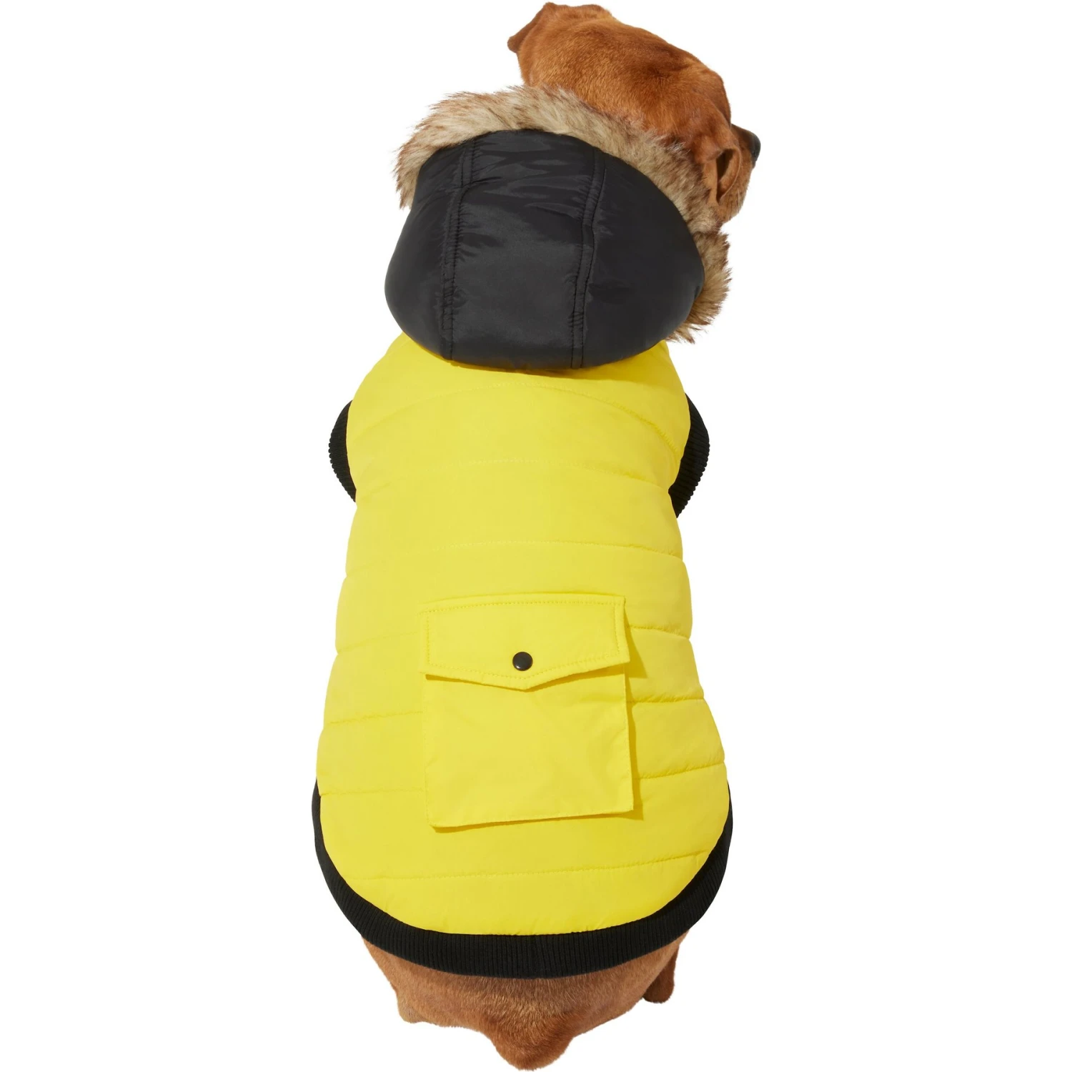 Frisco Heavyweight Anchorage Insulated Dog & Cat Parka, Yellow/Black 3 Frisco Heavyweight Anchorage Insulated Dog & Cat Parka, Yellow/Black