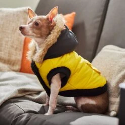 Frisco Heavyweight Anchorage Insulated Dog & Cat Parka, Yellow/Black 15 Frisco Heavyweight Anchorage Insulated Dog & Cat Parka, Yellow/Black -Blue Buffalo Shop 268397 PT8. AC SS1800 V1629761431