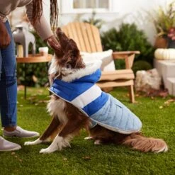 Frisco Heavyweight Chevron Insulated Dog & Cat Parka With Pocket -Blue Buffalo Shop 268405 PT8. AC SS1800 V1629766395