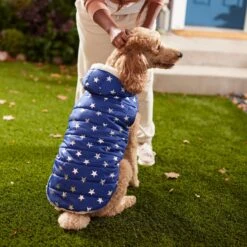 Frisco Mediumweight Metallic Star Print Insulated Dog & Cat Parka, Navy 15 Frisco Mediumweight Metallic Star Print Insulated Dog & Cat Parka, Navy -Blue Buffalo Shop 268413 PT8. AC SS1800 V1629757357