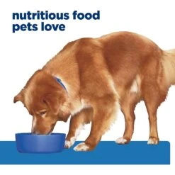 Hill's Prescription Diet Derm Complete Original Flavor Wet Dog Food -Blue Buffalo Shop 269080 PT2. AC SS1800 V1651242411