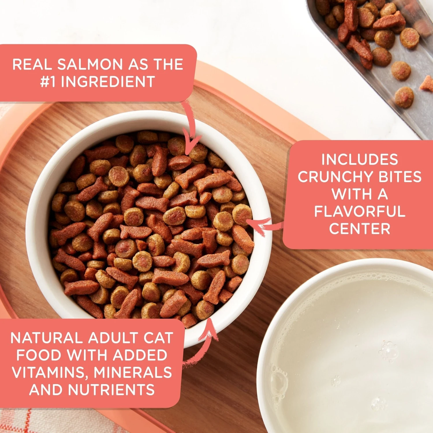 Rachael Ray Nutrish Savory Bites Tasty Salmon & Veggies Recipe Dry Cat Food, 5-lb Bag 5 Rachael Ray Nutrish Savory Bites Tasty Salmon & Veggies Recipe Dry Cat Food, 5-lb Bag - Image 3