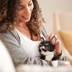 Rachael Ray Nutrish Savory Bites Tasty Salmon & Veggies Recipe Dry Cat Food, 5-lb Bag 14 Rachael Ray Nutrish Savory Bites Tasty Salmon & Veggies Recipe Dry Cat Food, 5-lb Bag -Blue Buffalo Shop 269175 PT5. AC SS1800 V1611787278