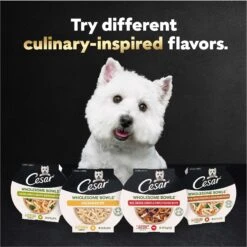 Cesar Wholesome Bowls Chicken, Sweet Potato & Green Beans Recipe Small Breed Adult Wet Dog Food -Blue Buffalo Shop 269185 PT8. AC SS1800 V1695674573