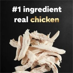 Cesar Wholesome Bowls Chicken Recipe & Chicken, Sweet Potato, Green Beans Recipe Variety Pack Small Breed Adult Wet Dog Food 14 Cesar Wholesome Bowls Chicken Recipe & Chicken, Sweet Potato, Green Beans Recipe Variety Pack Small Breed Adult Wet Dog Food -Blue Buffalo Shop 269191 PT3. AC SS1800 V1695676341