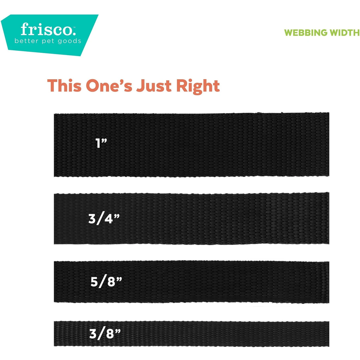 Frisco Midnight Floral Cat Collar 7 Frisco Midnight Floral Cat Collar - Image 5