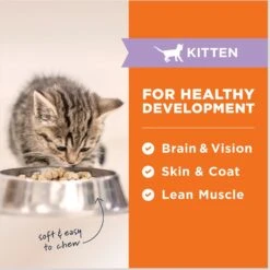 Instinct Raw Meals Cage-Free Chicken Recipe Grain-Free Freeze-Dried Kitten Food, 9.5-oz Bag 15 Instinct Raw Meals Cage-Free Chicken Recipe Grain-Free Freeze-Dried Kitten Food, 9.5-oz Bag -Blue Buffalo Shop 270213 PT4. AC SS1800 V1690814168