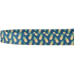 Frisco Pineapple Polyester Personalized Breakaway Cat Collar With Bell -Blue Buffalo Shop 271597 PT3. AC SS1800 V1618937222