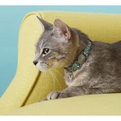 Frisco Pineapple Polyester Personalized Breakaway Cat Collar With Bell -Blue Buffalo Shop 271597 PT4. AC SS1800 V1618936919