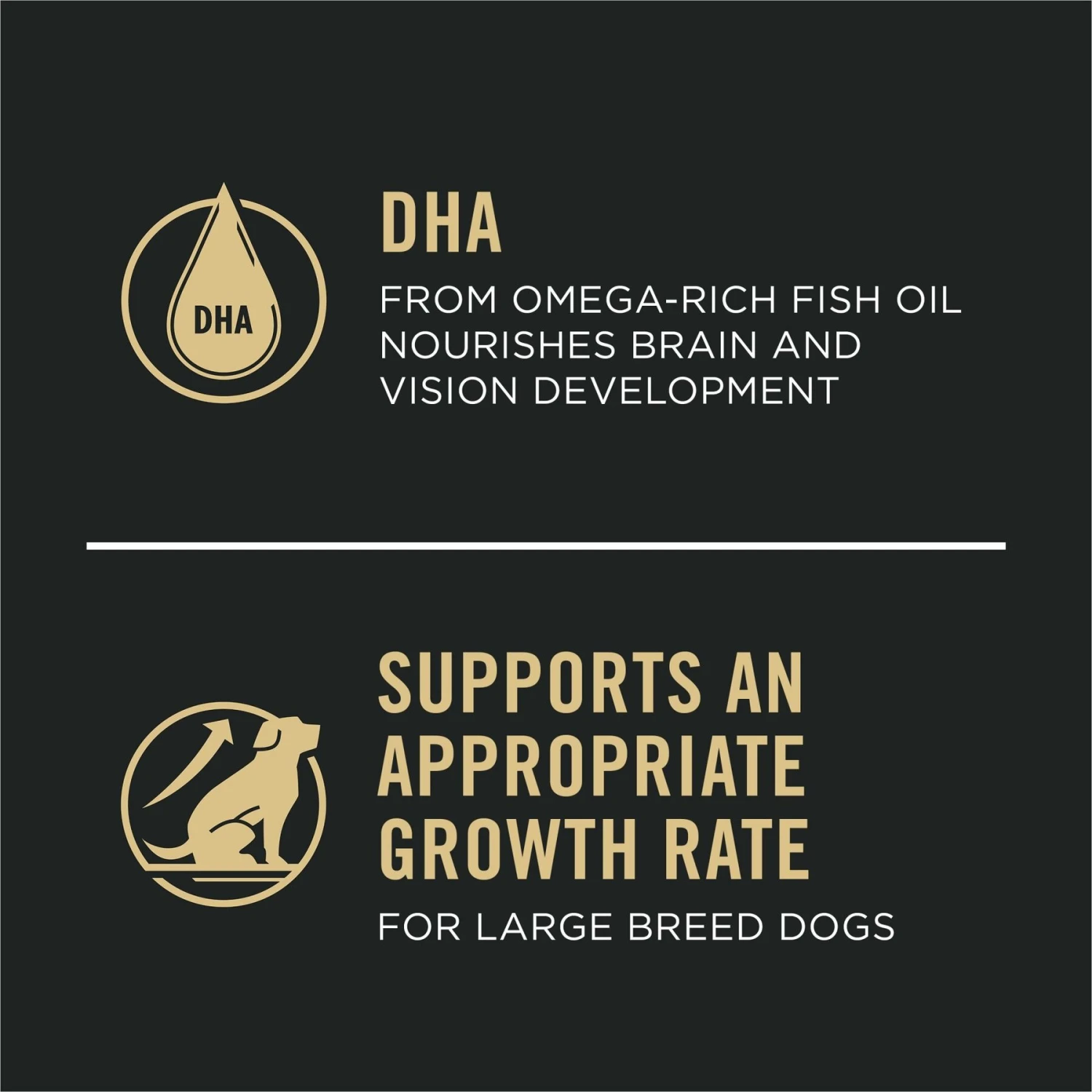 Purina Pro Plan Development Sensitive Skin & Stomach Salmon & Rice Large Breed Dry Puppy Food 7 Purina Pro Plan Development Sensitive Skin & Stomach Salmon & Rice Large Breed Dry Puppy Food - Image 5