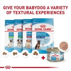 Royal Canin Size Health Nutrition Starter Mother & Babydog Mousse In Sauce Canned Dog Food -Blue Buffalo Shop 272675 PT5. AC SS1800 V1697212426