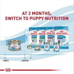 Royal Canin Size Health Nutrition Starter Mother & Babydog Mousse In Sauce Canned Dog Food -Blue Buffalo Shop 272675 PT6. AC SS1800 V1697216753