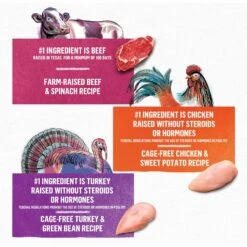 Purina Beyond Beef, Chicken & Turkey Recipes Variety Pack Grain-Free Wet Dog Food, 12.5-oz Can, Case Of 12 -Blue Buffalo Shop 275986 PT2. AC SS1800 V1699396579