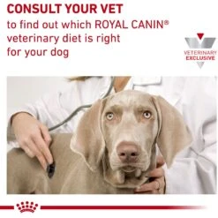 Royal Canin Veterinary Diet Adult Advanced Mobility Support Dry Dog Food -Blue Buffalo Shop 275995 PT8. AC SS1800 V1697734509
