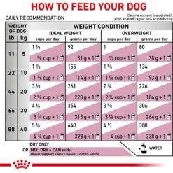 Royal Canin Veterinary Diet Renal Support Early Consult Dry Dog Food -Blue Buffalo Shop 275998 PT7. AC SS1800 V1701379766
