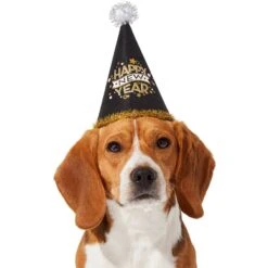 Frisco Happy New Year Dog & Cat Hat -Blue Buffalo Shop 276190 PT2. AC SS1800 V1631303599