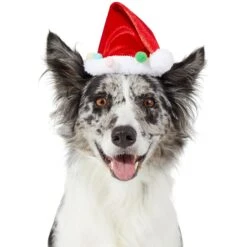 Frisco Holiday Poms Dog & Cat Santa Hat -Blue Buffalo Shop 276194 PT2. AC SS1800 V1631303507