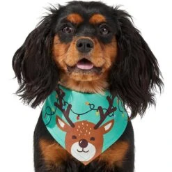 Frisco Peekaboo Reindeer Dog & Cat Bandana 13 Frisco Peekaboo Reindeer Dog & Cat Bandana -Blue Buffalo Shop 276198 PT3. AC SS1800 V1637687013