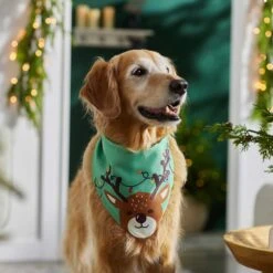 Frisco Peekaboo Reindeer Dog & Cat Bandana 15 Frisco Peekaboo Reindeer Dog & Cat Bandana -Blue Buffalo Shop 276198 PT5. AC SS1800 V1637644939