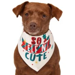 Frisco So Elf'n Cute Dog & Cat Bandana -Blue Buffalo Shop 276276 PT2. AC SS1800 V1637682999