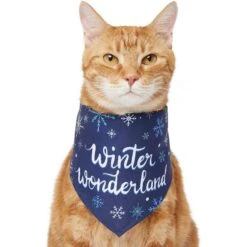 Frisco Winter Wonderland Dog & Cat Bandana -Blue Buffalo Shop 276279 PT2. AC SS1800 V1637675218