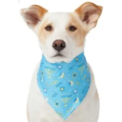 Frisco Festive Hanukkah Dog & Cat Bandana -Blue Buffalo Shop 276282 PT3. AC SS1800 V1637673704