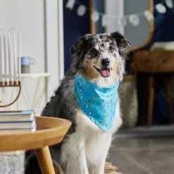 Frisco Festive Hanukkah Dog & Cat Bandana -Blue Buffalo Shop 276282 PT5. AC SS1800 V1637653030