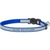 Frisco Polyester Personalized Reflective Cat Collar With Bell -Blue Buffalo Shop 276752 MAIN. AC SS1800 V1619458921