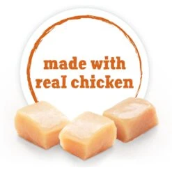 Purina Beneful Incredibites Pate With Real Chicken, Tomatoes, Carrots & Spinach Wet Dog Food -Blue Buffalo Shop 276923 PT3. AC SS1800 V1700156649