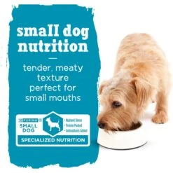 Purina Beneful Incredibites Pate With Real Chicken, Tomatoes, Carrots & Spinach Wet Dog Food -Blue Buffalo Shop 276923 PT7. AC SS1800 V1700157438