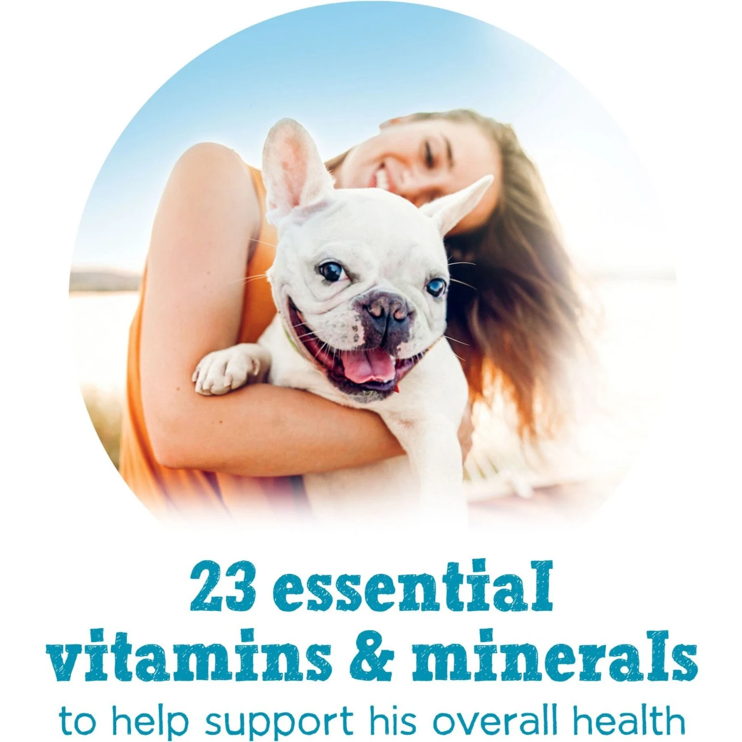 Purina Beneful IncrediBites Variety Pack Canned Dog Food 9 Purina Beneful IncrediBites Variety Pack Canned Dog Food - Image 7