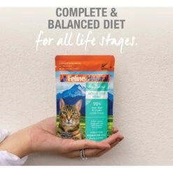 Feline Natural Hoki & Beef Feast Grain-Free Wet Cat Food, 3-oz Pouch, Case Of 12 -Blue Buffalo Shop 277490 PT4. AC SS1800 V1628703987