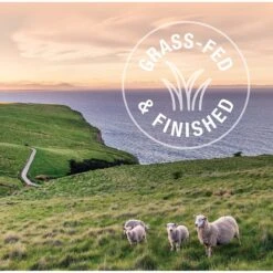 Feline Natural Hoki & Beef Feast Grain-Free Wet Cat Food, 3-oz Pouch, Case Of 12 -Blue Buffalo Shop 277490 PT6. AC SS1800 V1628703973