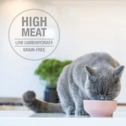 Feline Natural Lamb & King Salmon Grain-Free Wet Cat Food, 3-oz Pouch, Case Of 12 12 Feline Natural Lamb & King Salmon Grain-Free Wet Cat Food, 3-oz Pouch, Case Of 12 -Blue Buffalo Shop 277492 PT3. AC SS1800 V1628703680