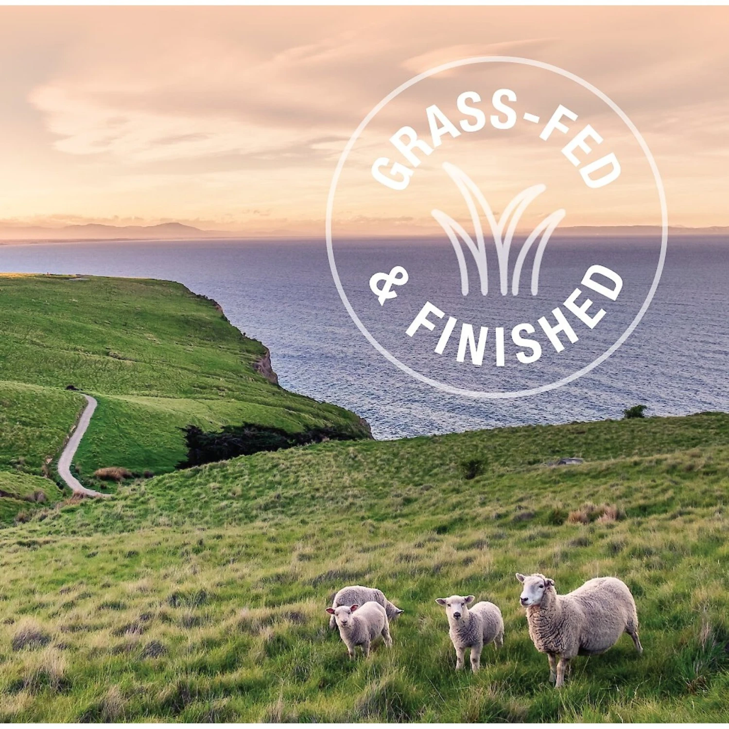 Feline Natural Lamb & King Salmon Grain-Free Wet Cat Food, 3-oz Pouch, Case Of 12 9 Feline Natural Lamb & King Salmon Grain-Free Wet Cat Food, 3-oz Pouch, Case Of 12 - Image 7