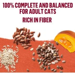 Purina Beyond Mixers+ Digestive Support Variety Pack Wet Cat Food, 1.55-oz Pouch, Case Of 8 -Blue Buffalo Shop 277801 PT7. AC SS1800 V1699391293