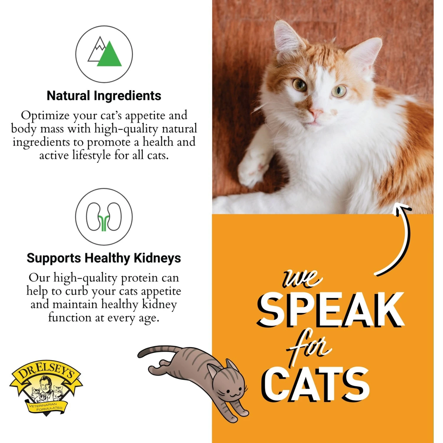 Dr. Elsey's Cleanprotein Turkey Kibble Cat Dry Food 7 Dr. Elsey's Cleanprotein Turkey Kibble Cat Dry Food - Image 5