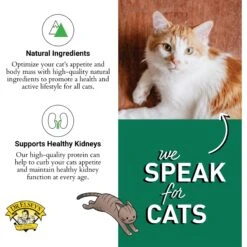 Dr. Elsey's Cleanprotein Duck Kibble Cat Dry Food 14 Dr. Elsey's Cleanprotein Duck Kibble Cat Dry Food -Blue Buffalo Shop 277951 PT4. AC SS1800 V1702069115