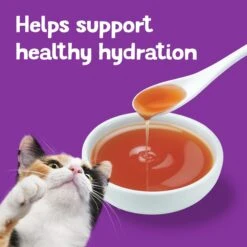 Friskies Lil' Gravies & Lil' Grillers Variety Pack Wet Cat Food Complement, 1.55-oz Pouch, Case Of 30 -Blue Buffalo Shop 278909 PT6. AC SS1800 V1700159308