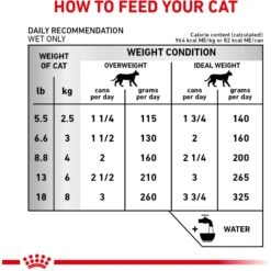 Royal Canin Veterinary Diet Adult Renal Support Early Consult Loaf In Sauce Canned Cat Food -Blue Buffalo Shop 278913 PT5. AC SS1800 V1701882070