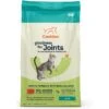 CANIDAE Goodness For Joints Real Salmon Adult Dry Cat Food -Blue Buffalo Shop 279814 MAIN. AC SS1800 V1615424040