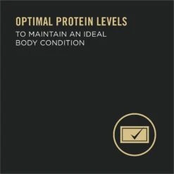 Purina Pro Plan Adult 7+ Complete Essentials Turkey & Rice Entree Wet Dog Food, 13-oz Can, Case Of 12 13 Purina Pro Plan Adult 7+ Complete Essentials Turkey & Rice Entree Wet Dog Food, 13-oz Can, Case Of 12 -Blue Buffalo Shop 280293 PT3. AC SS1800 V1615850188