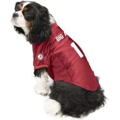 Littlearth NCAA Stretch Dog & Cat Jersey, Alabama Crimson Tide -Blue Buffalo Shop 283994 PT2. AC SS1800 V1619409451
